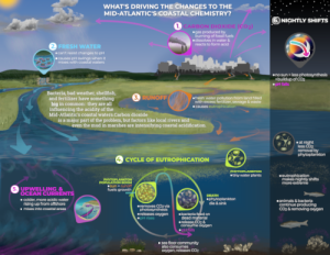 vocal new england thumbnail