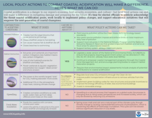 Vocal policy thumbnail