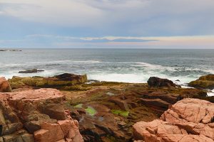 Acadia National Park shoreline